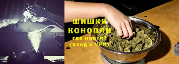PSILOCYBIN Баксан