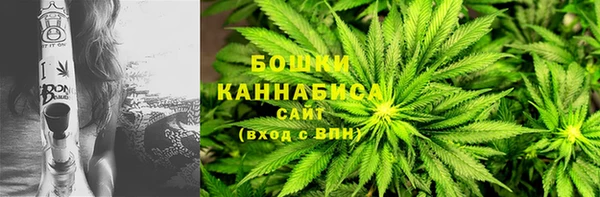 PSILOCYBIN Баксан