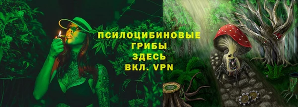 PSILOCYBIN Баксан